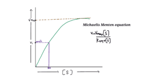 Michaelis menten equation