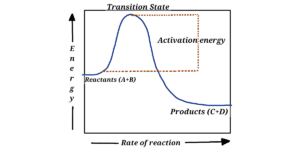 enzymes, activation energy