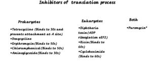inhibitor of translation process