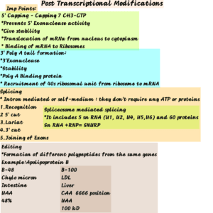 post transcriptional modifications